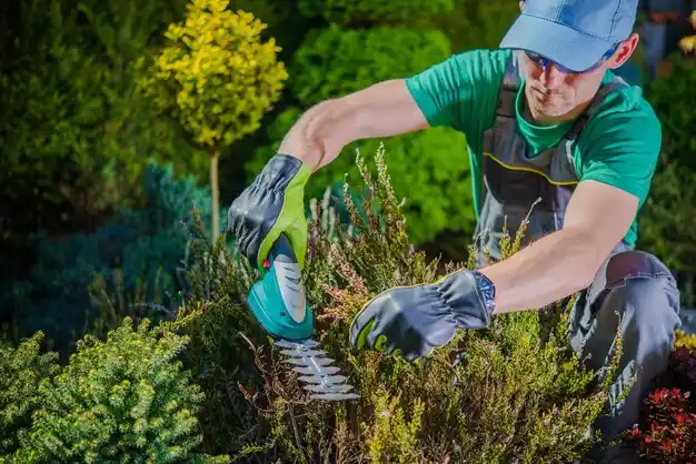 landscaping services Central Islip
